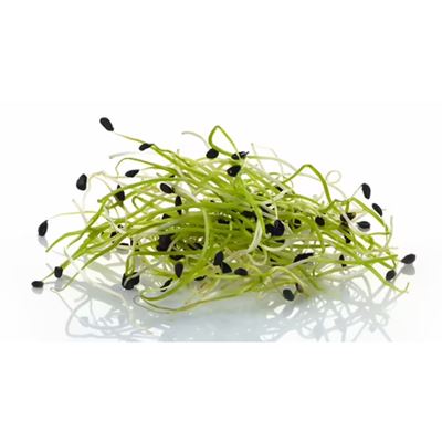Výhonky (klíčky) česneku 1x50g čerstvé